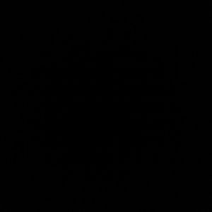 Meet your Posher, Isai